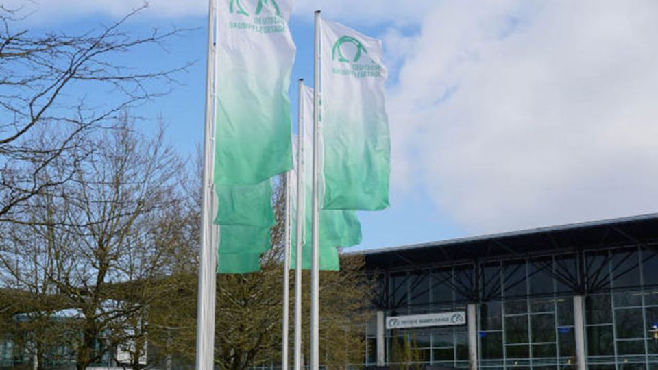 Forum Baumpflege