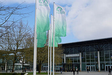 Forum Baumpflege