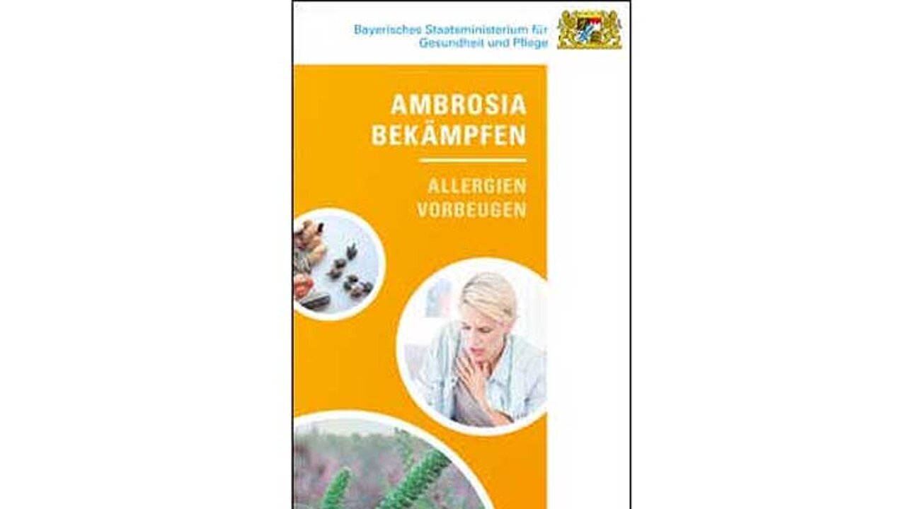 Aktionsprogramm