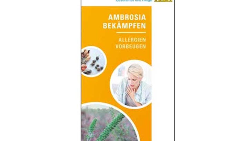 Aktionsprogramm