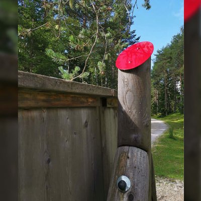 Balken und Pfosten