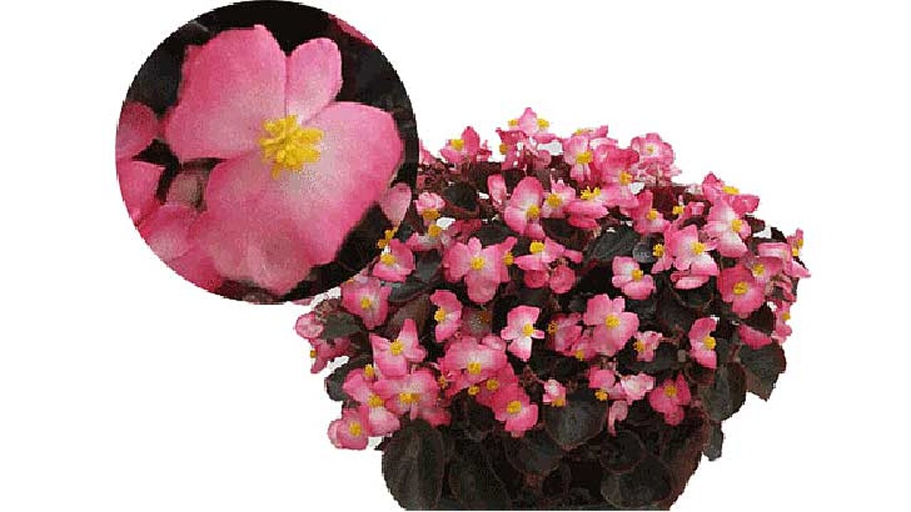 image-5614