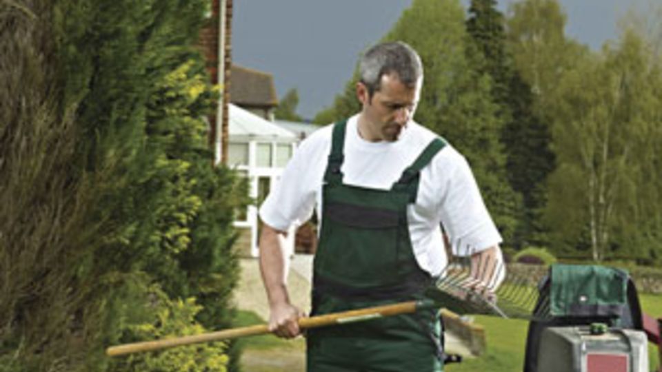 Industry300 von Dickies Workwear