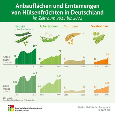 Anbauflächen und Erntemenge
