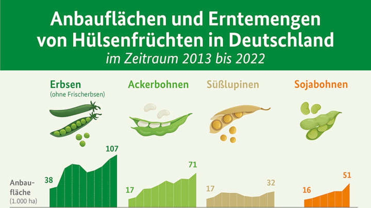 Anbauflächen und Erntemenge