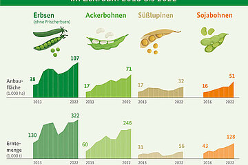 Anbauflächen und Erntemenge