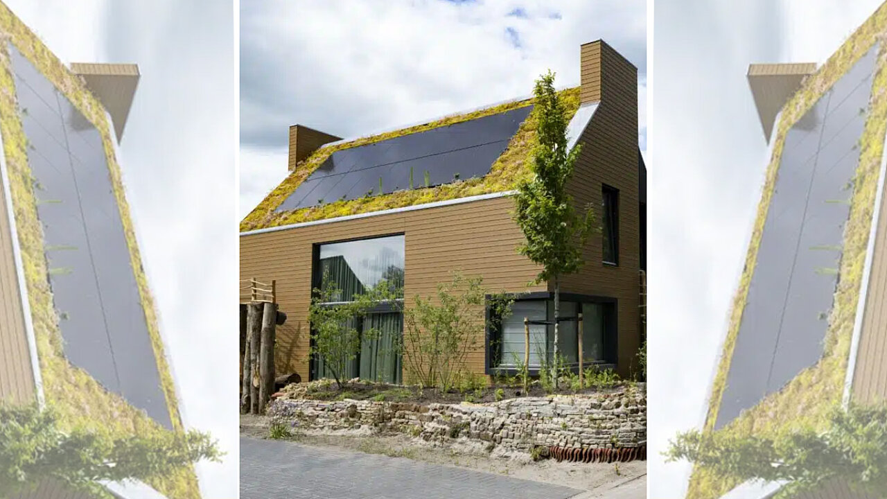 Sempergreen Solar-Gründach