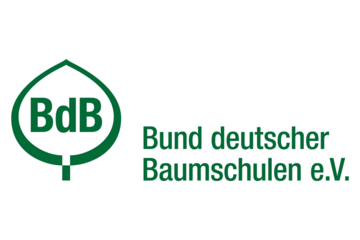 BdB Logo