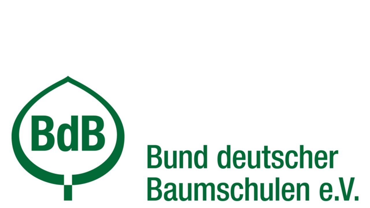 BdB Logo