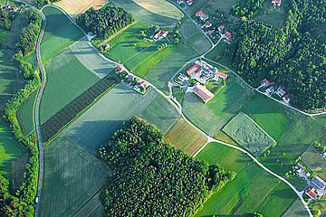 Weizenfeld