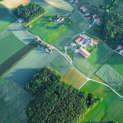 Weizenfeld