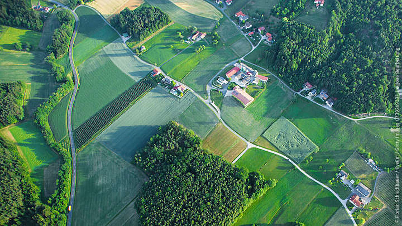 Weizenfeld