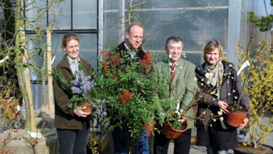 Baumschule Sander in Tornesch