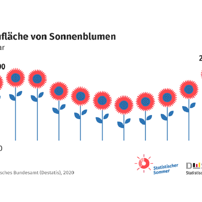 Anbaufläche Sonnenblumen