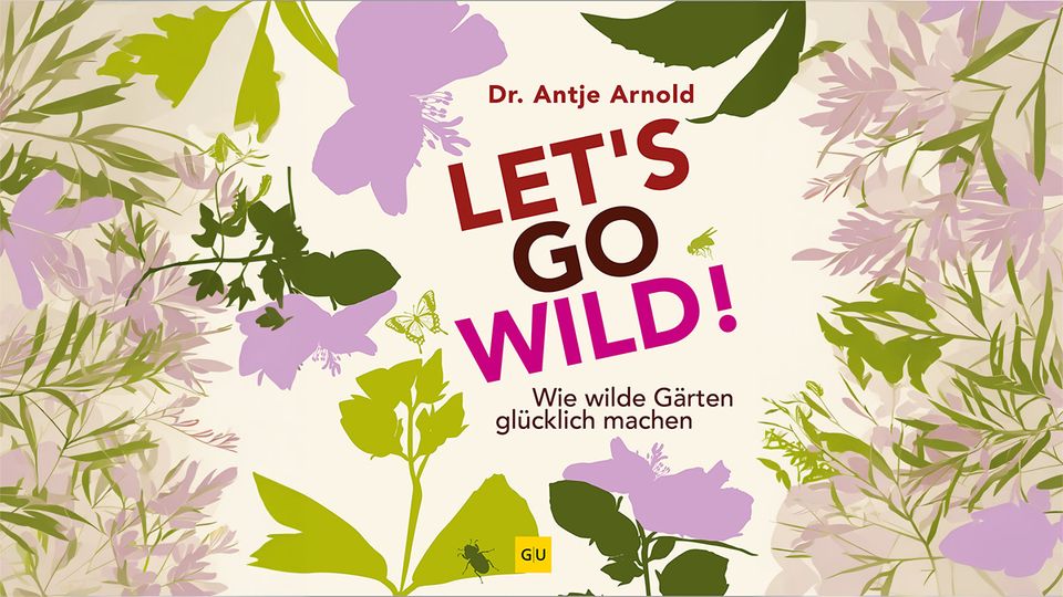 bUCH Let's go wild