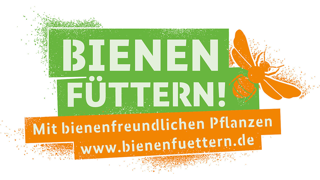 Bienen Füttern