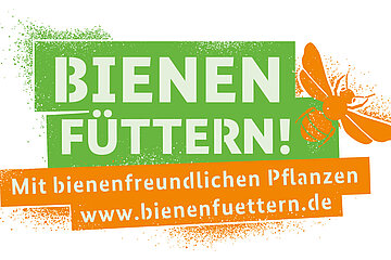 Bienen Füttern