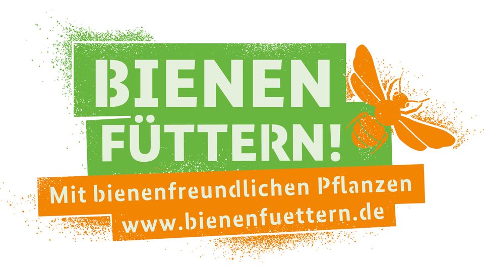 Bienen Füttern