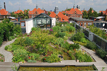 Dachgarten