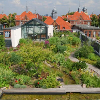 Dachgarten