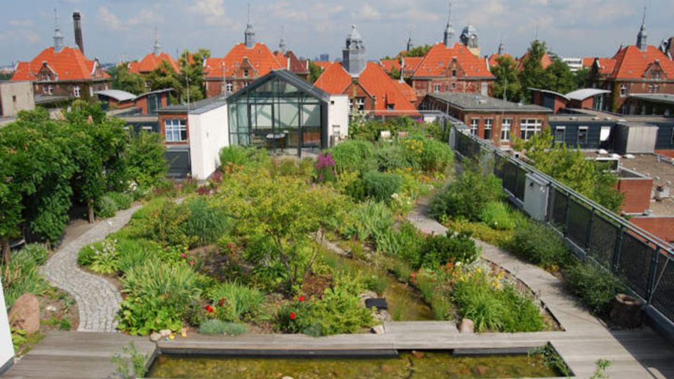 Dachgarten