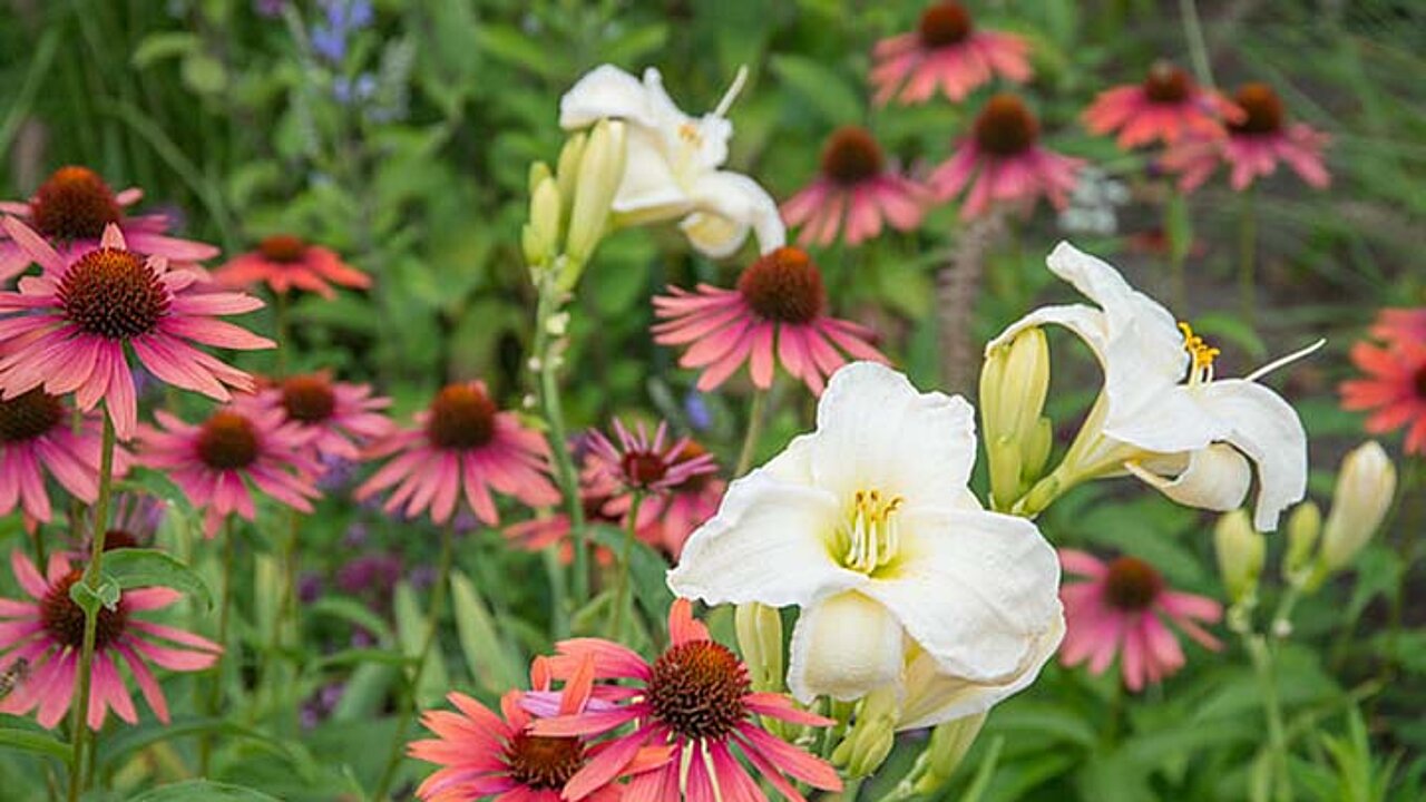 image-14026