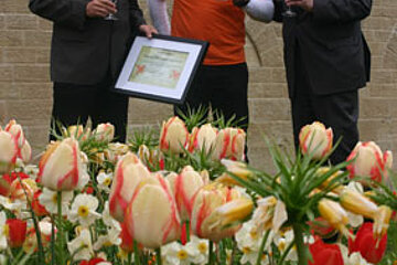 Verver-Fruehlingsforen