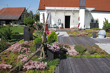 Image-14677