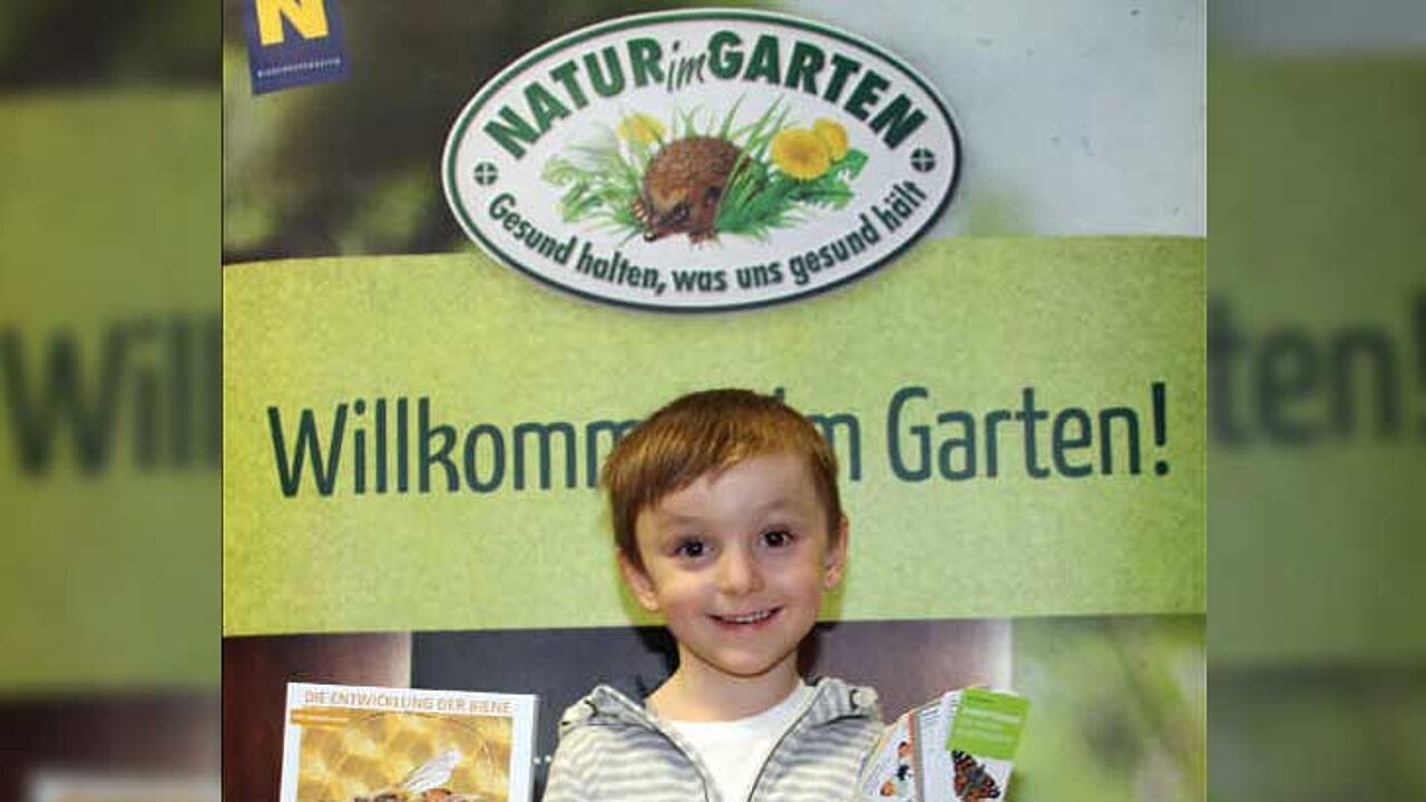 Schmetterlingsfächer und Bienen-Puzzle
