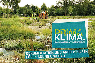 Image-13017