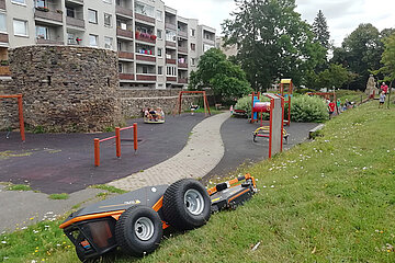 Hochgrasmähwerk