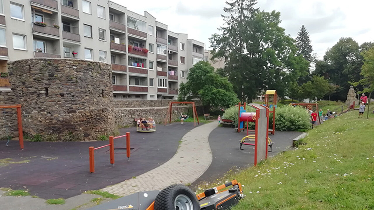 Hochgrasmähwerk