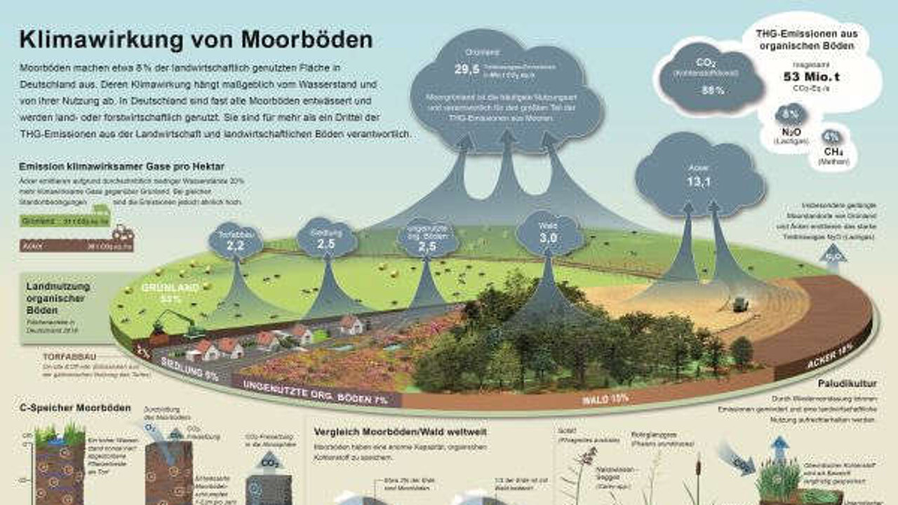 Infografik