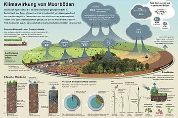 Infografik