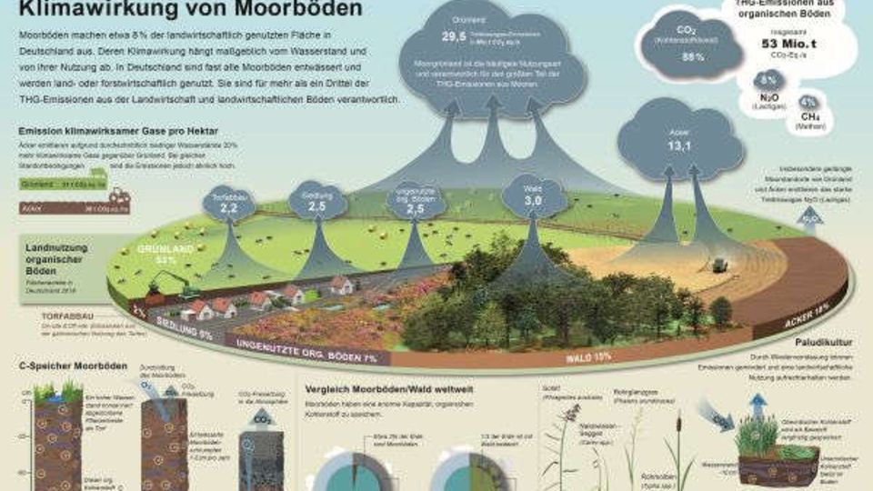 Infografik