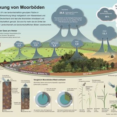 Infografik