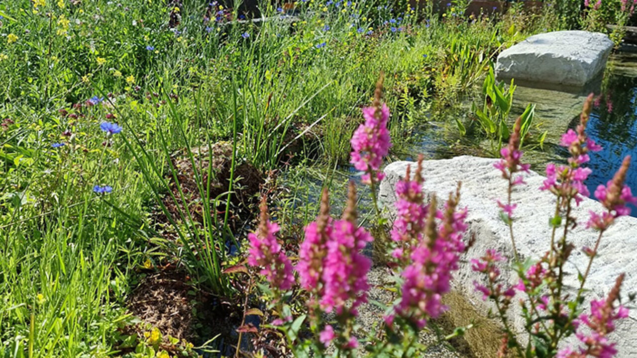Privatgarten - Wollweber