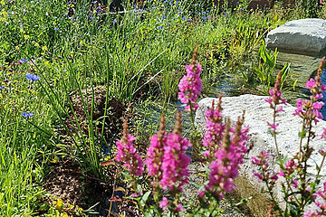 Privatgarten - Wollweber