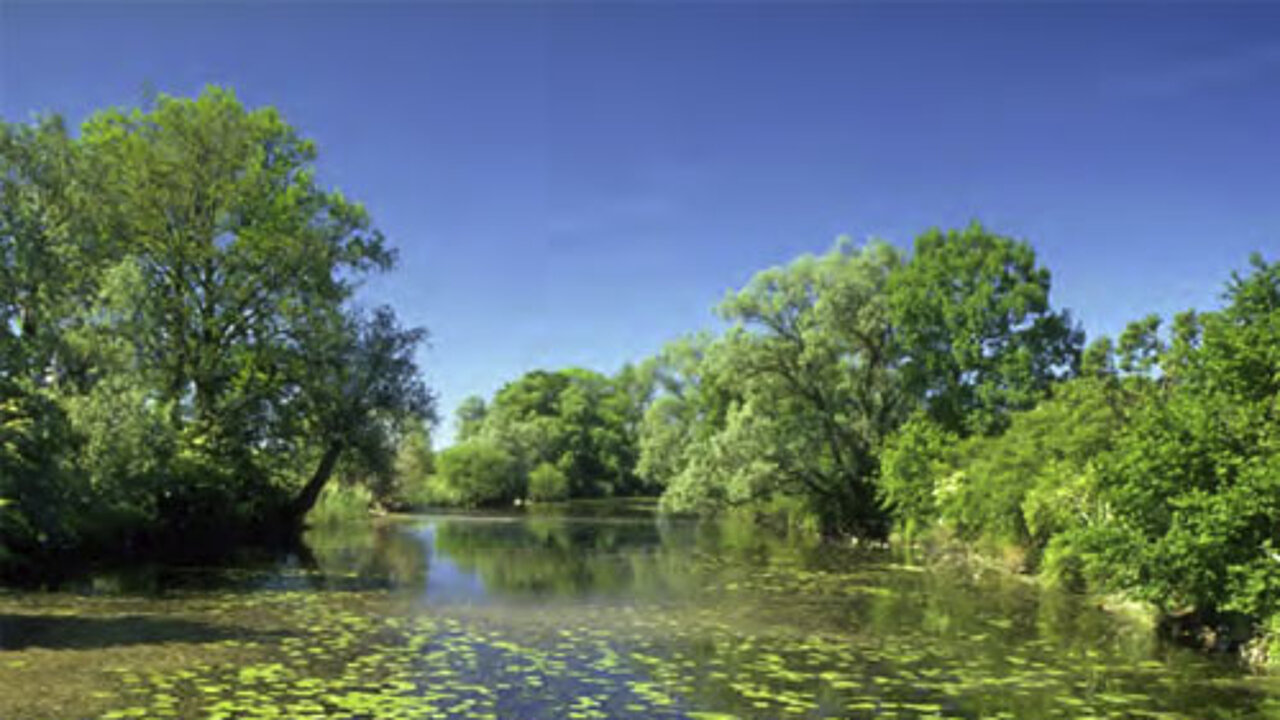 Biodiversitätspreis