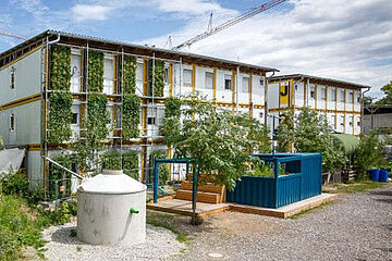Fassadenbegrünung