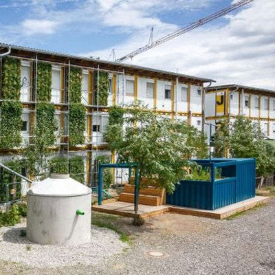 Fassadenbegrünung