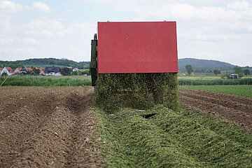 Image-15684