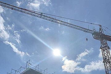 Image-13116