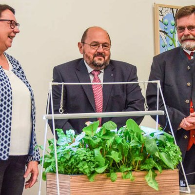 Indoor-Farming-Beet