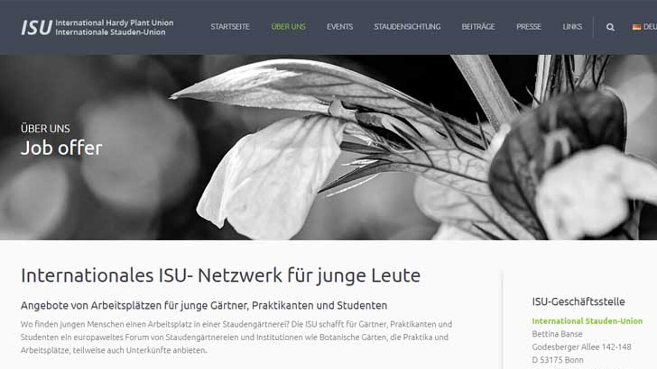 Webseite