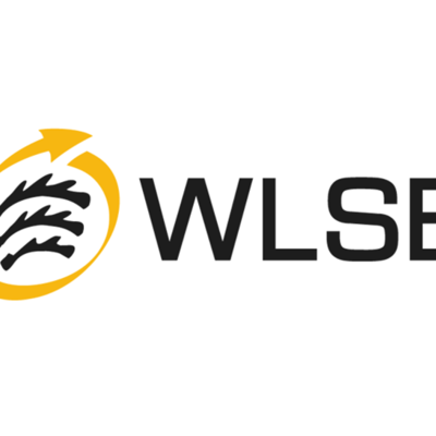 WLSB Logo