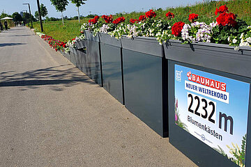 Blumenkästen