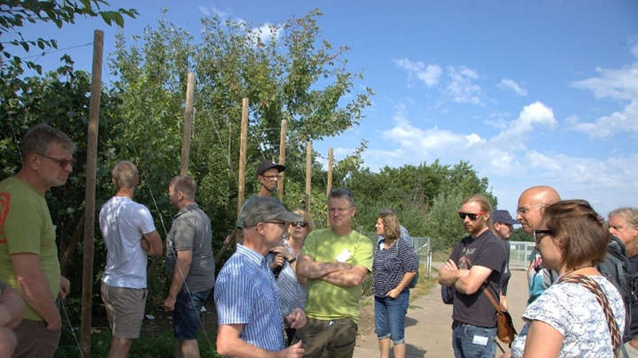Klimabäume