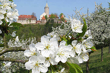 Leuchtenburg