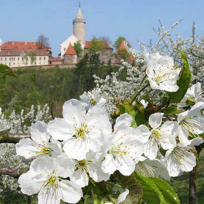 Leuchtenburg